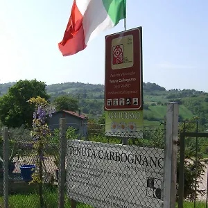 Tenuta Carbognano , Gemmano Italia